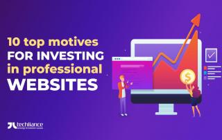 10 top motives for investing in professional websites