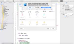 Figure 2 - Configure the Bridging Header