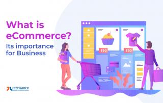 What is eCommerce - Its importance for Business