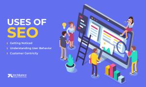 Uses of SEO