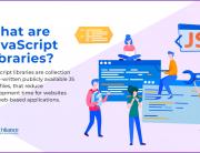 What are JavaScript Libraries