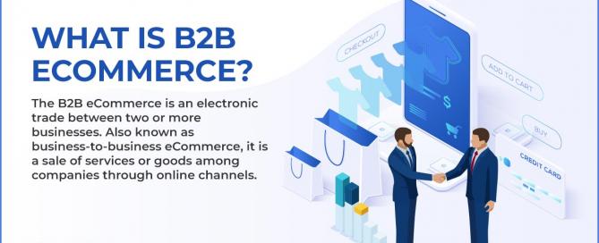 What is B2B eCommerce