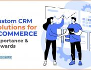 Custom CRM solutions for eCommerce - Importance and Rewards