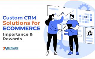 Custom CRM solutions for eCommerce - Importance and Rewards