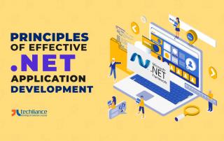 Principles of effective .NET application development