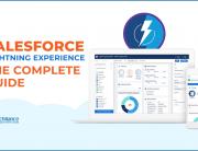 Salesforce Lightning Experience - The Complete Guide